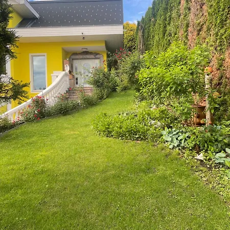 Am Red Bull Ring In Spielberg *