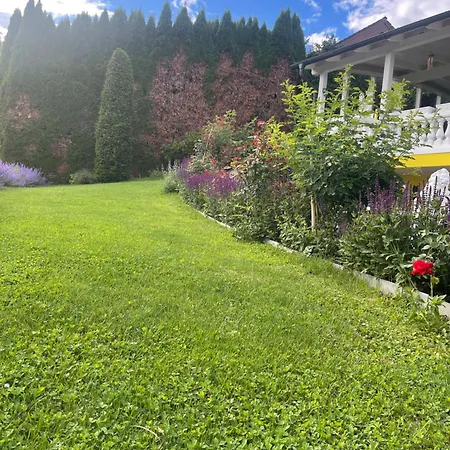 In Elegant Am Red Bull Ring In Spielberg * Spielberg Bei Knittelfeld